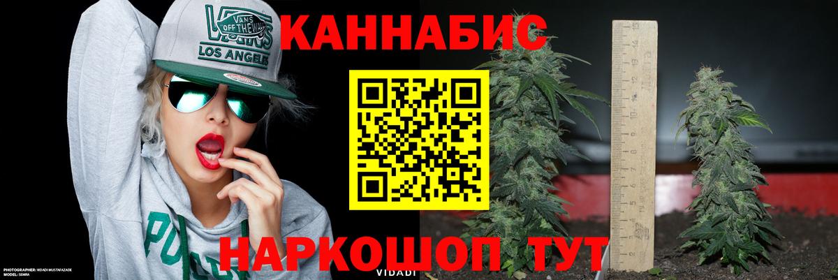 Шишки марихуана семена  Конопля VHQ  Тамбов  МАРИХУАНА VHQ  Вход с VPN 